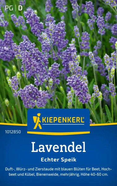 Saatgut-Lavendel Echter Speik