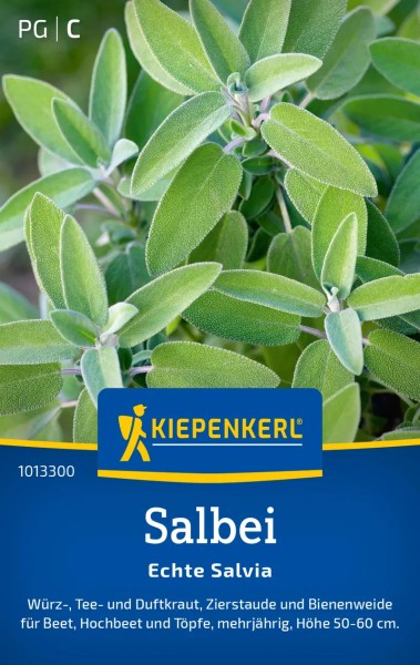 Saatgut-Salbei Echte Salvia