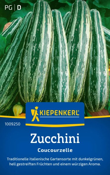 Saatgut-Zucchini Coucourzelle