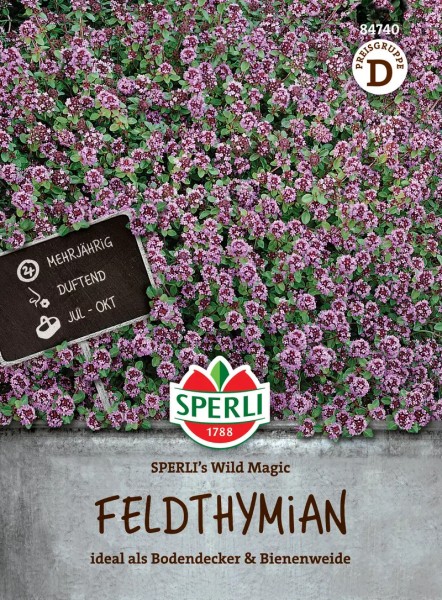 Saatgut-Feldthymian Sperlis Wild Magic