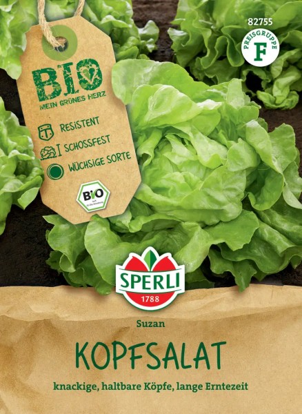 Saatgut-BIO Kopfsalat Suzan