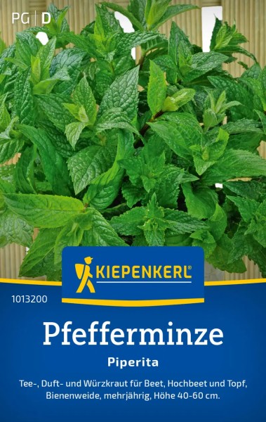 Saatgut-Pfefferminze Piperita